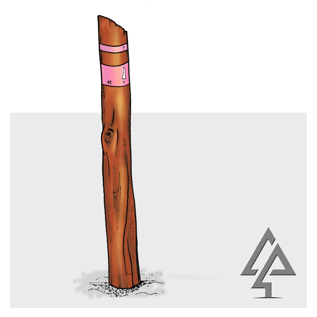 Add vertical dimension to your nature play space with our Bush Poles, crafted from local West Australian Jarrah hardwood to create dynamic climbing and spatial elements.