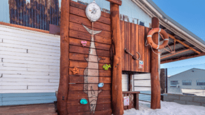 Custom wahoo fish weighing station climbing wall at Gage Roads Brewery Fremantle — VRI bespoke playground design.