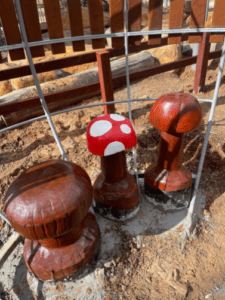 Toad Stools | Bring whimsy to your playground with our charming Toad Stools, featuring mushroom-shaped seating elements crafted from creatively painted West Australian Jarrah hardwood for imaginative play and rest. | VRI