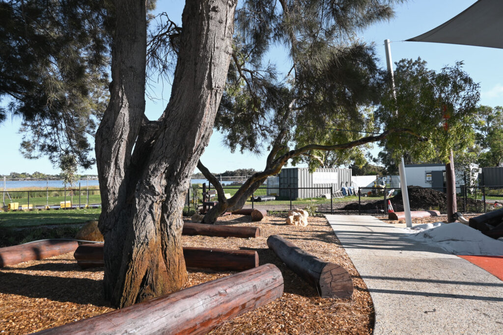 Jarrah log stumps arranged around a native sheoak tree at Shelley Beach Park playground — nature play balance zone on the Canning River foreshore