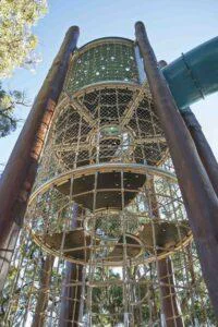 Interior view looking up through Jarrah bushpole climbing tower showing stainless steel webnet and rope climbing levels at Hathaway Reserve Baldivis